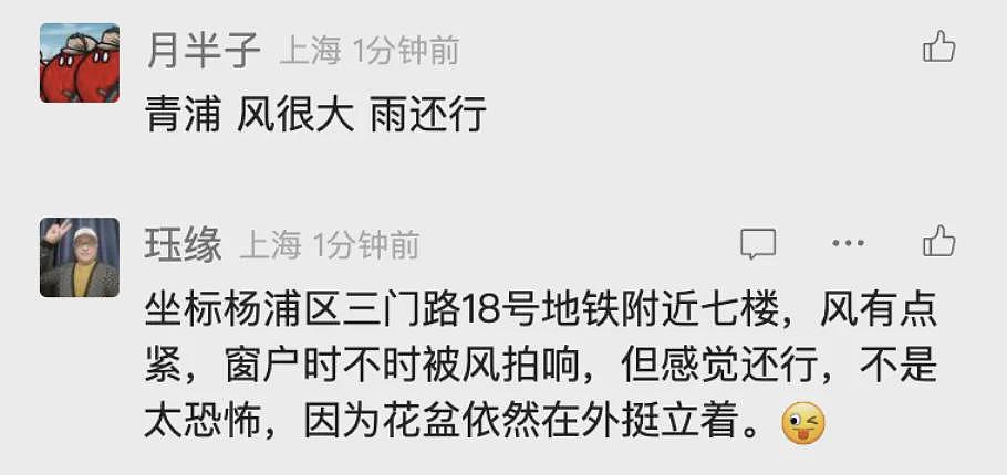 台风已登陆！树木连根拔起！感觉风雨还行？NO，上海主城区恰好在“贝碧嘉”的危险半圆内（组图） - 11