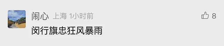 台风已登陆！树木连根拔起！感觉风雨还行？NO，上海主城区恰好在“贝碧嘉”的危险半圆内（组图） - 13