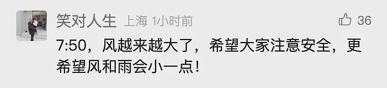 台风已登陆！树木连根拔起！感觉风雨还行？NO，上海主城区恰好在“贝碧嘉”的危险半圆内（组图） - 10