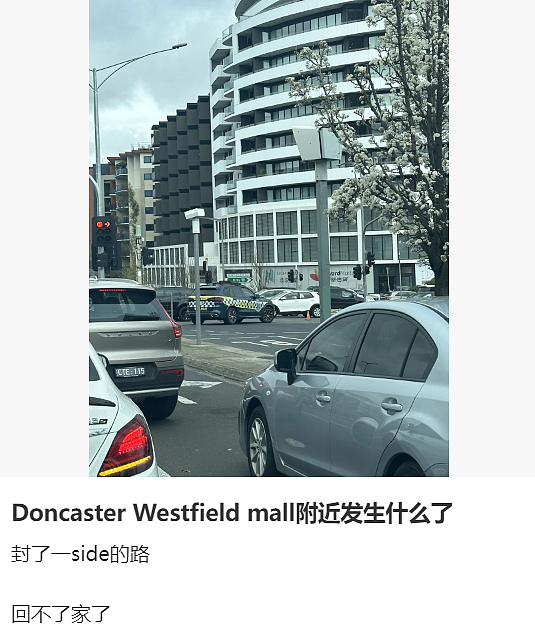 墨尔本突发枪击！Doncaster一所小学紧急封锁，华人妈妈：“孩子就在那上学，我都要吓死了...”（组图） - 17