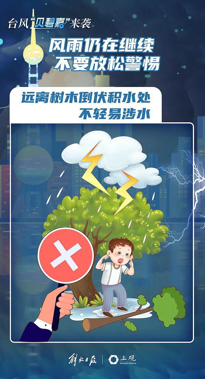 最新！“贝碧嘉”中心已离开上海，但风雨继续！外滩亲水平台水位暴涨，全市110接警8000余起（视频/组图） - 18