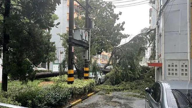 最新！“贝碧嘉”中心已离开上海，但风雨继续！外滩亲水平台水位暴涨，全市110接警8000余起（视频/组图） - 9