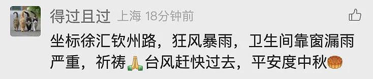 台风已登陆！树木连根拔起！感觉风雨还行？NO，上海主城区恰好在“贝碧嘉”的危险半圆内（组图） - 17