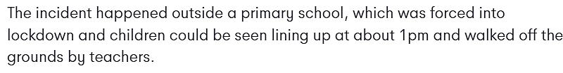 墨尔本突发枪击！Doncaster一所小学紧急封锁，华人妈妈：“孩子就在那上学，我都要吓死了...”（组图） - 12