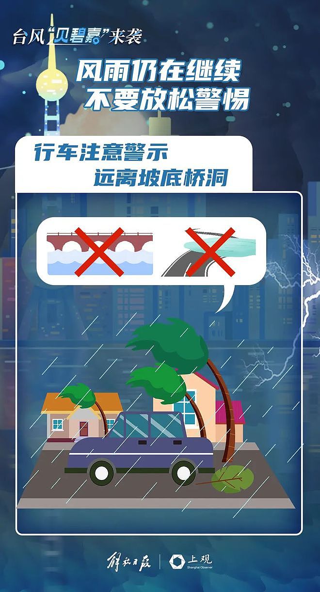 最新！“贝碧嘉”中心已离开上海，但风雨继续！外滩亲水平台水位暴涨，全市110接警8000余起（视频/组图） - 16