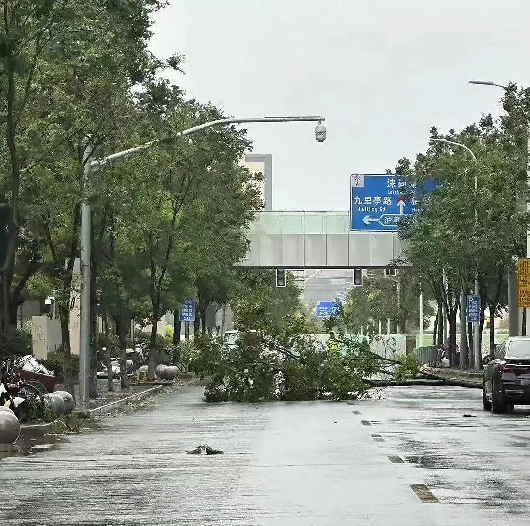 贝碧嘉横穿上海，才知道自己家里漏洞百出、危机四伏（组图） - 39