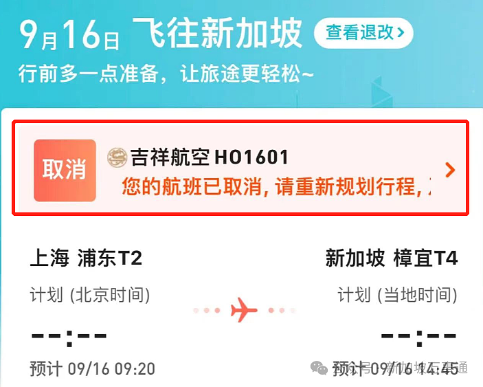 新加坡往返中国上海航班突发大面积取消，一大波网友被迫退票/改签（组图） - 3