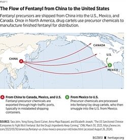 鸦片战争？中共蓄意利用芬太尼从“内部掏空”美国（组图） - 3