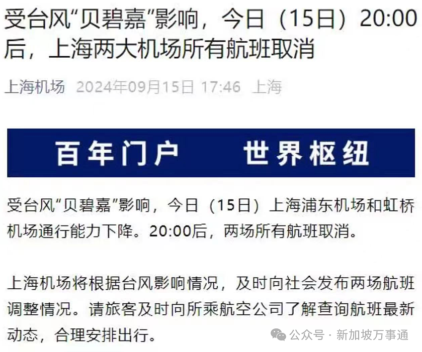 新加坡往返中国上海航班突发大面积取消，一大波网友被迫退票/改签（组图） - 7