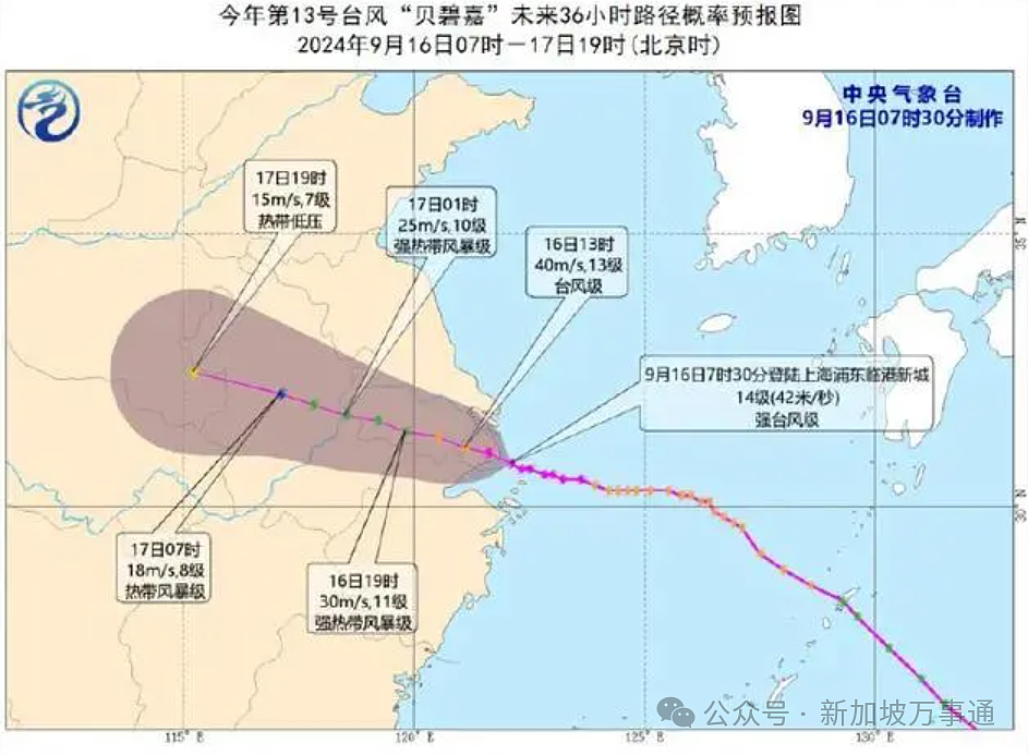 新加坡往返中国上海航班突发大面积取消，一大波网友被迫退票/改签（组图） - 10