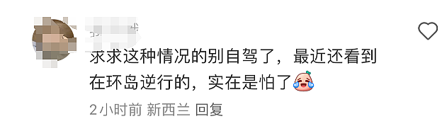 中国游客新西兰自驾，因为一个小疏忽，“差点干破产了”，有人在澳洲，把柴油加到了汽油箱里（组图） - 15