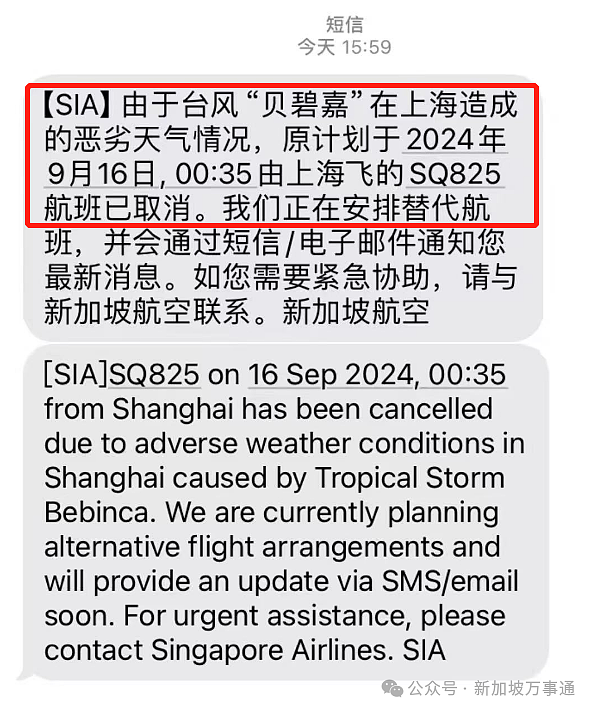 新加坡往返中国上海航班突发大面积取消，一大波网友被迫退票/改签（组图） - 5