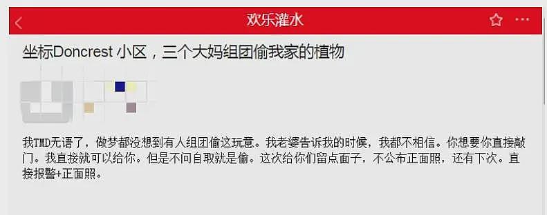 惊呆！2中国大妈在机场打架、对骂、薅头发！视频网上疯传！澳洲，类似奇葩事真不少（组图） - 24