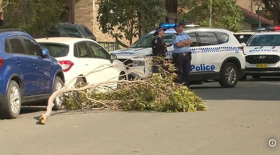 惨剧！悉尼女子被砸死了！妖风突袭，多区屋顶被掀，电线大树吹倒一片...（组图） - 5