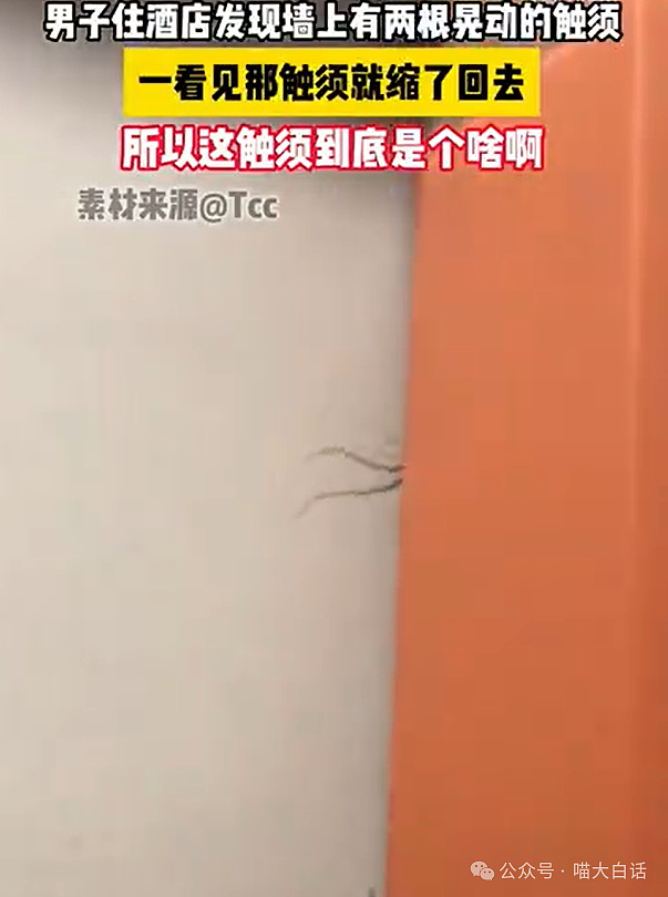 【爆笑】“中秋节误扇导师十几个巴掌？”哈哈哈哈哈建议逃离地球（组图） - 22