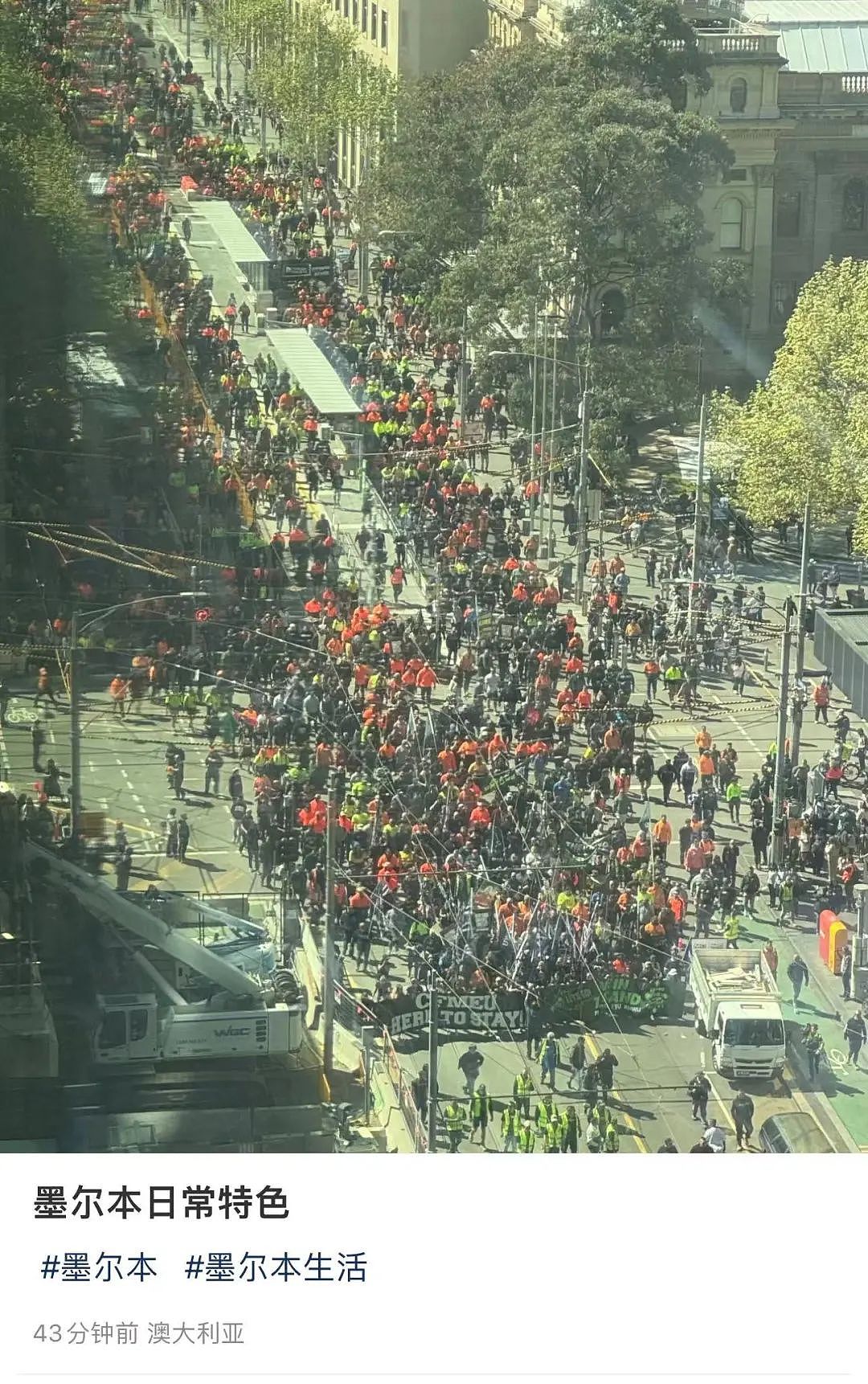 8万人愤怒攻占澳洲CBD！澳洲发旅行警告，极度危险，今天又乱套了...（组图） - 13