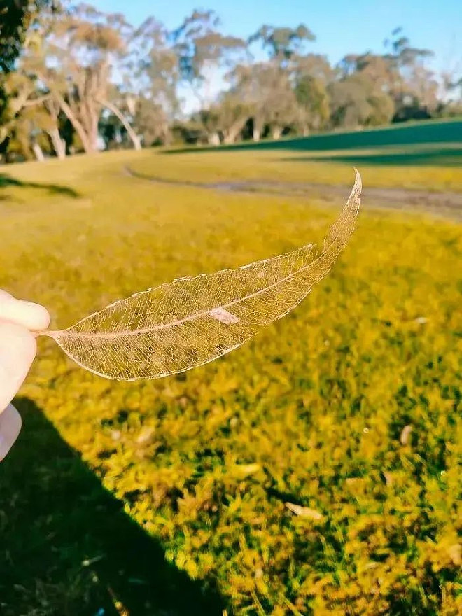 试问苍天饶过谁，20张图片看时间的力量有多恐怖（组图） - 14