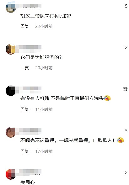 拳打脚踢致11人伤！湖北制服人员围殴村民引民愤， 82岁阿婆入院（视频/组图） - 7