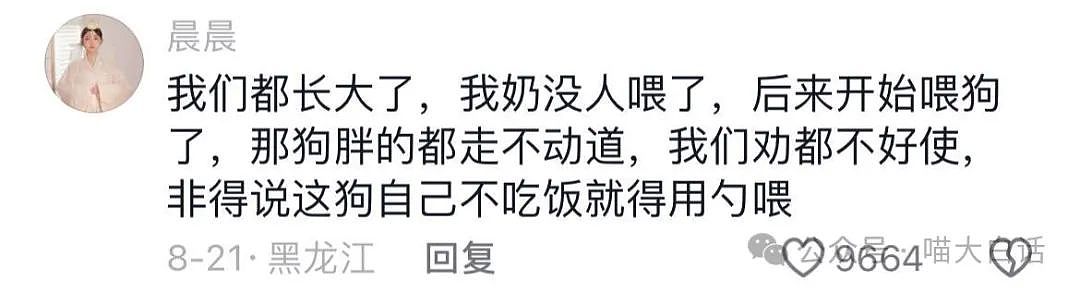 【爆笑】“朋友只花半价在我家楼上买房了？”哈哈哈哈哈网友评论砂仁猪心（组图） - 98