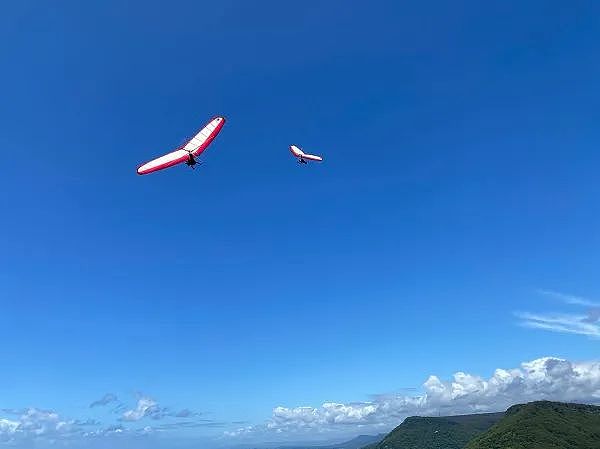 民调显示达顿领导组建少数党政府可能性进一步上升，澳洲国内机票价格短期内飙升，经济舱票价指数创一年多新高 - 3