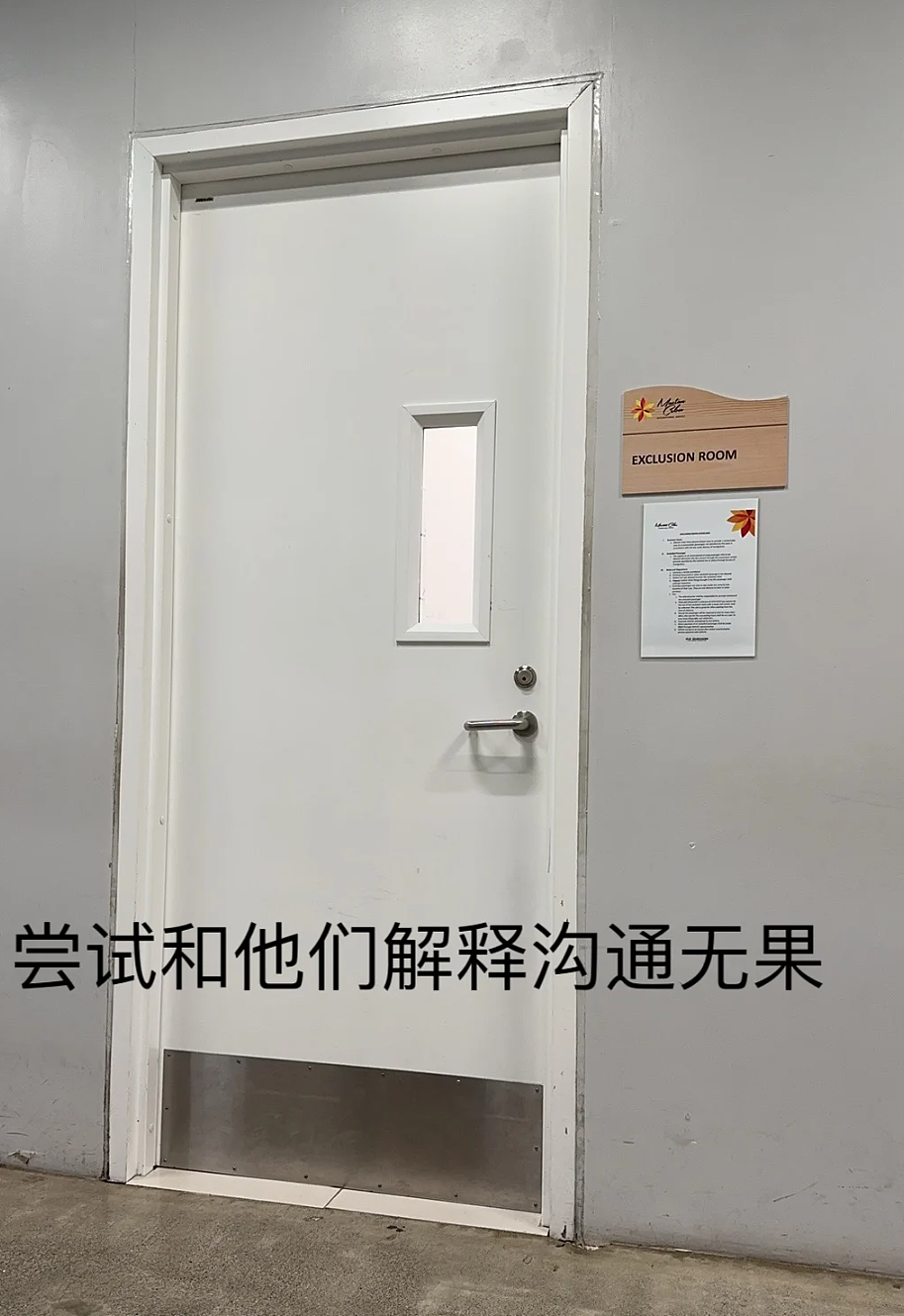 华人亲述：“我被海关扣留48小时，小黑屋1400一晚”，最后还是被遣返...（组图） - 18