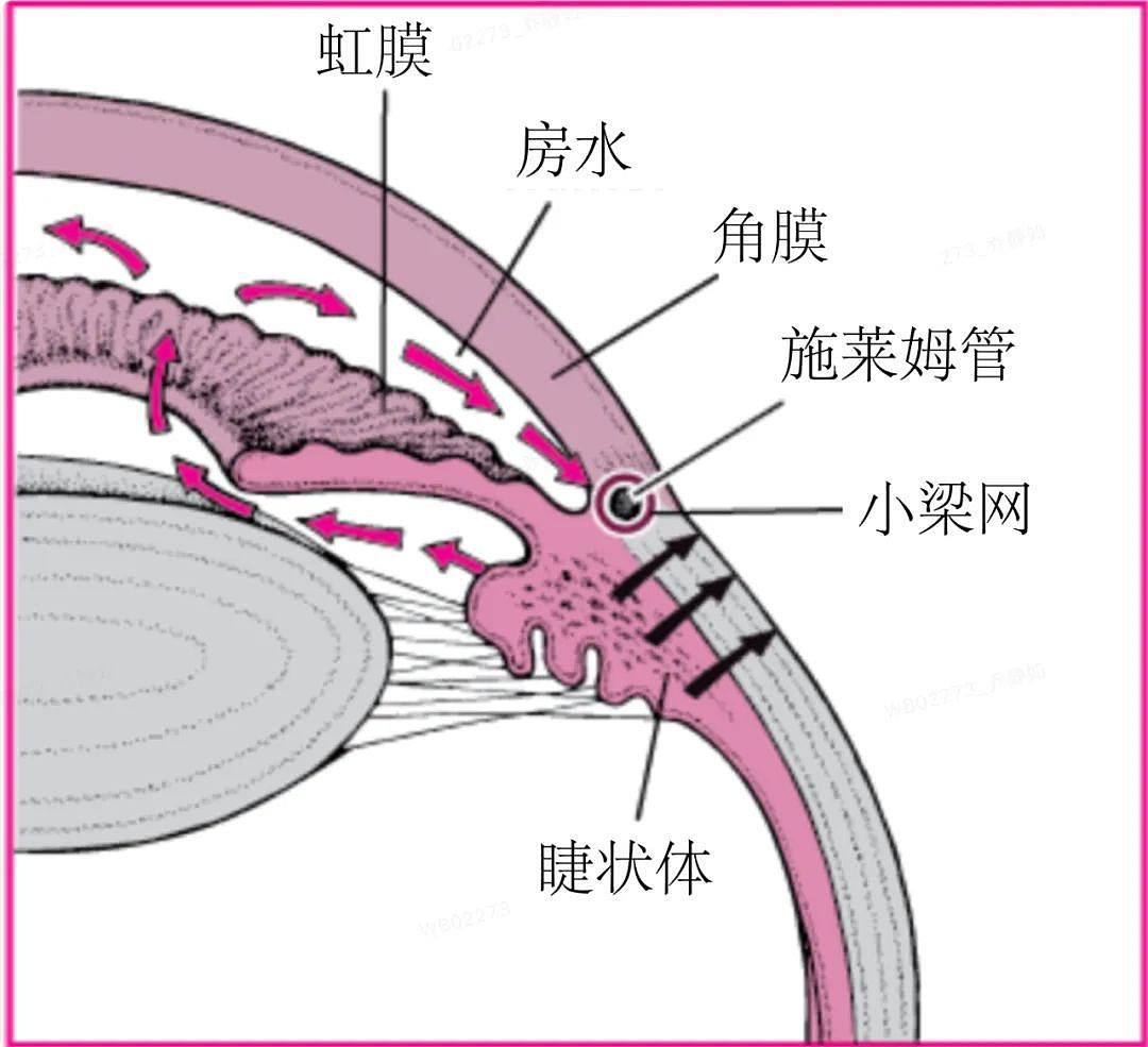 趴着午睡，是怎么毁掉你身体的（组图） - 6