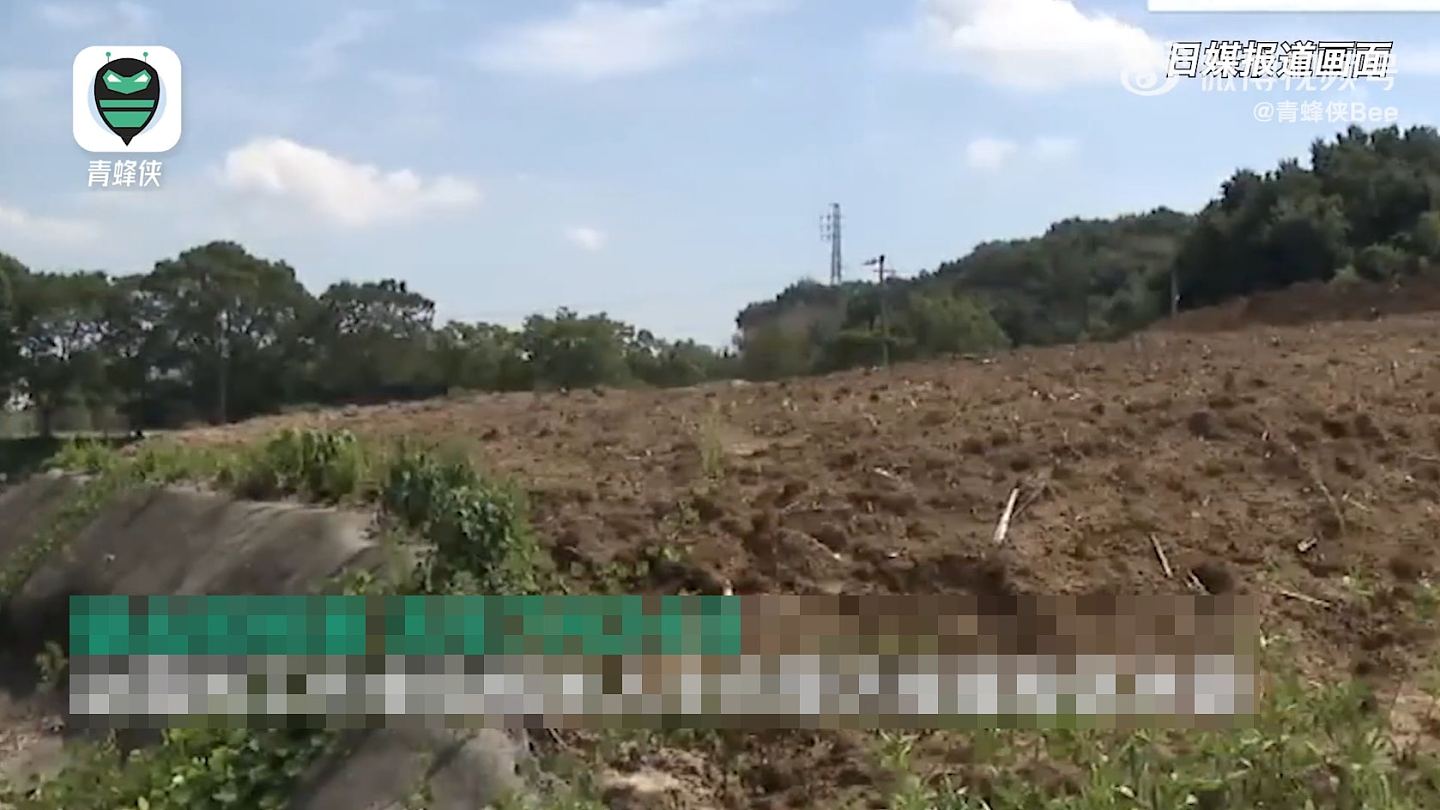 中国籍女子日本被抛尸荒野成白骨，警方时隔一年拘菲律宾籍嫌疑人（组图） - 4