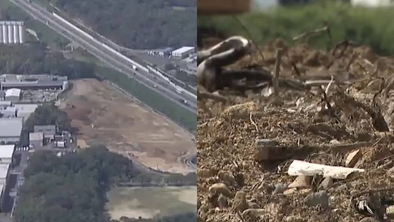 中国籍女子日本被抛尸荒野成白骨，警方时隔一年拘菲律宾籍嫌疑人（组图） - 1