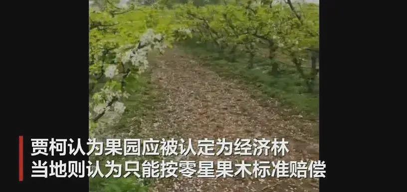 叶县果园强拆后续，各方开始甩锅，县书记表态，果园园主再曝内情（组图） - 9