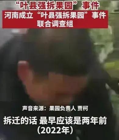 叶县果园强拆后续，各方开始甩锅，县书记表态，果园园主再曝内情（组图） - 16