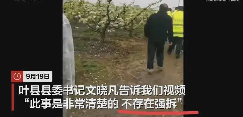 叶县果园强拆后续，各方开始甩锅，县书记表态，果园园主再曝内情（组图） - 10