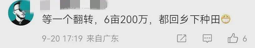 叶县果园强拆后续，各方开始甩锅，县书记表态，果园园主再曝内情（组图） - 15