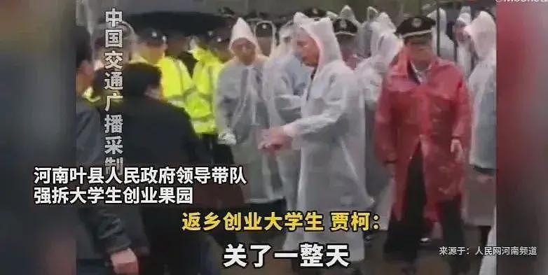 叶县果园强拆后续，各方开始甩锅，县书记表态，果园园主再曝内情（组图） - 5