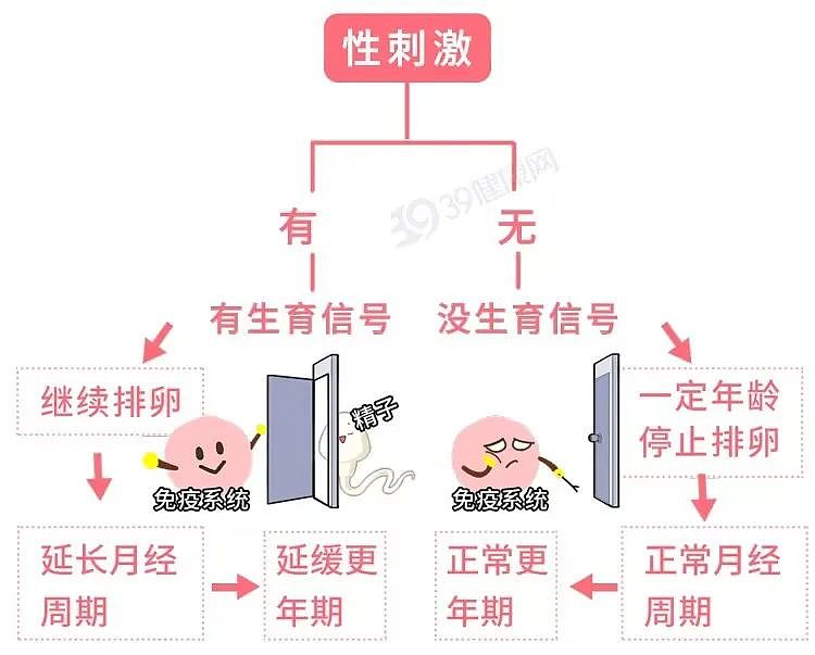 【两性】一月1次和一周1次同房，哪个更健康？研究：这个频率对女性最好（组图） - 7