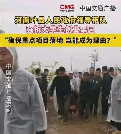 叶县果园强拆后续，各方开始甩锅，县书记表态，果园园主再曝内情（组图） - 4