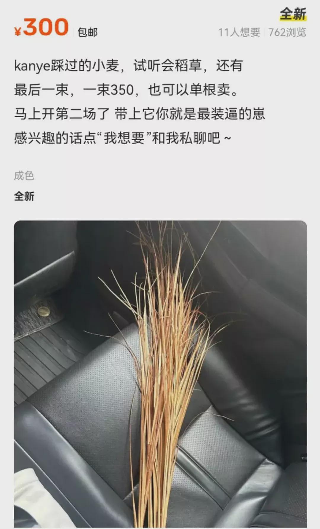 侃爷踩过的小麦一株卖300，工作人员：是塑料喷漆的（组图） - 3