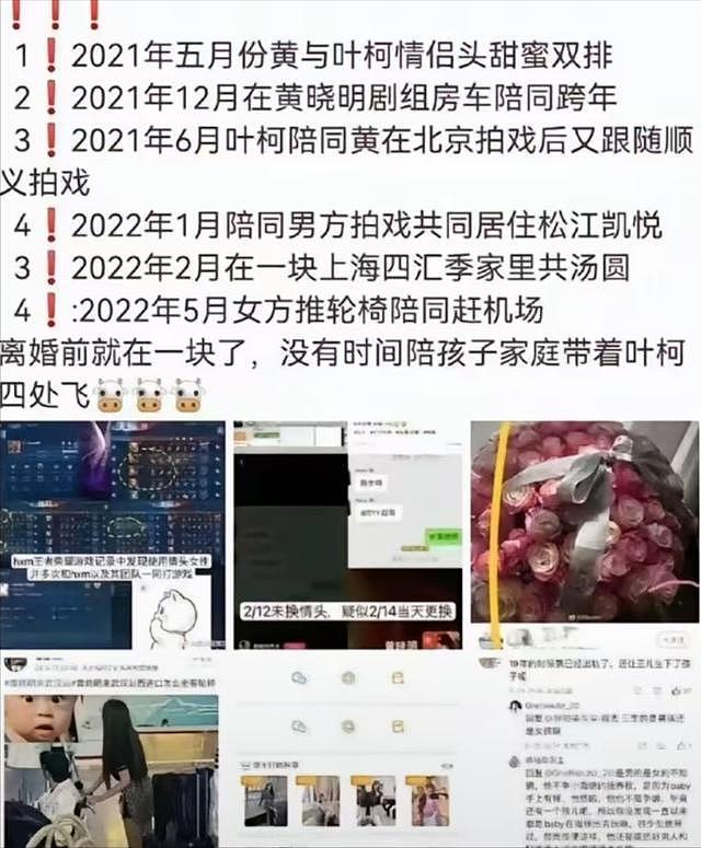 太炸裂，叶柯与富豪前夫被扒出，八年婚姻疑因女方问题而离婚（组图） - 17