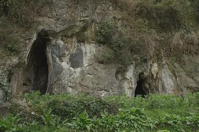 长白山惊现红毛“女野人”，抓走男村民生孩子？专家发现野人老巢（组图） - 7