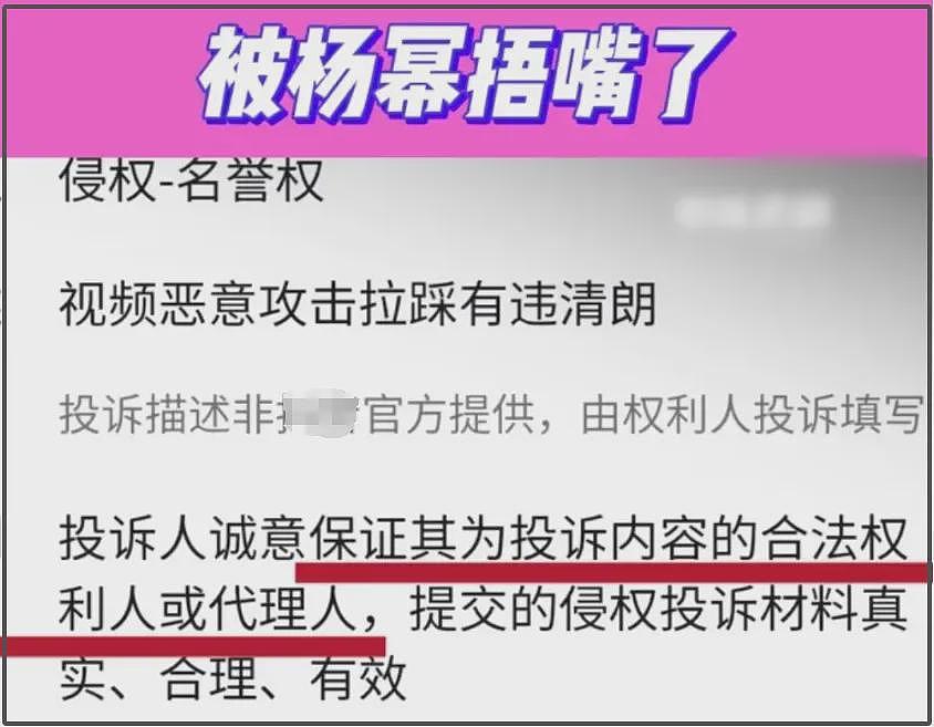 杨幂最新代言惹争议，品牌公开支持疯马秀，老板专门给舞娘做鞋（组图） - 24