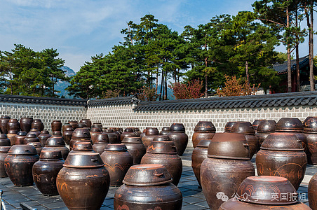 韩国香蕉牛奶申遗！议员力推50年老字号成“国家级文物”，网友：那老干妈、椰奶、北冰洋也行咯（组图） - 9