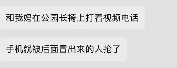 月入18万！根本不怕警察？窃贼得手后立刻卖回中国！中国留学生哭了：手机丢了，比我先到家...（组图） - 13