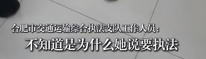 穿便装乘坐网约车亮证“执法”，合肥女子背2万多名牌包，道歉评论区沦陷（组图） - 7