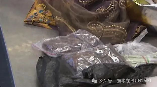 中国夫妇入境澳洲，因为一个电饭煲被当场拦下！打开惊呆所有人（组图） - 7