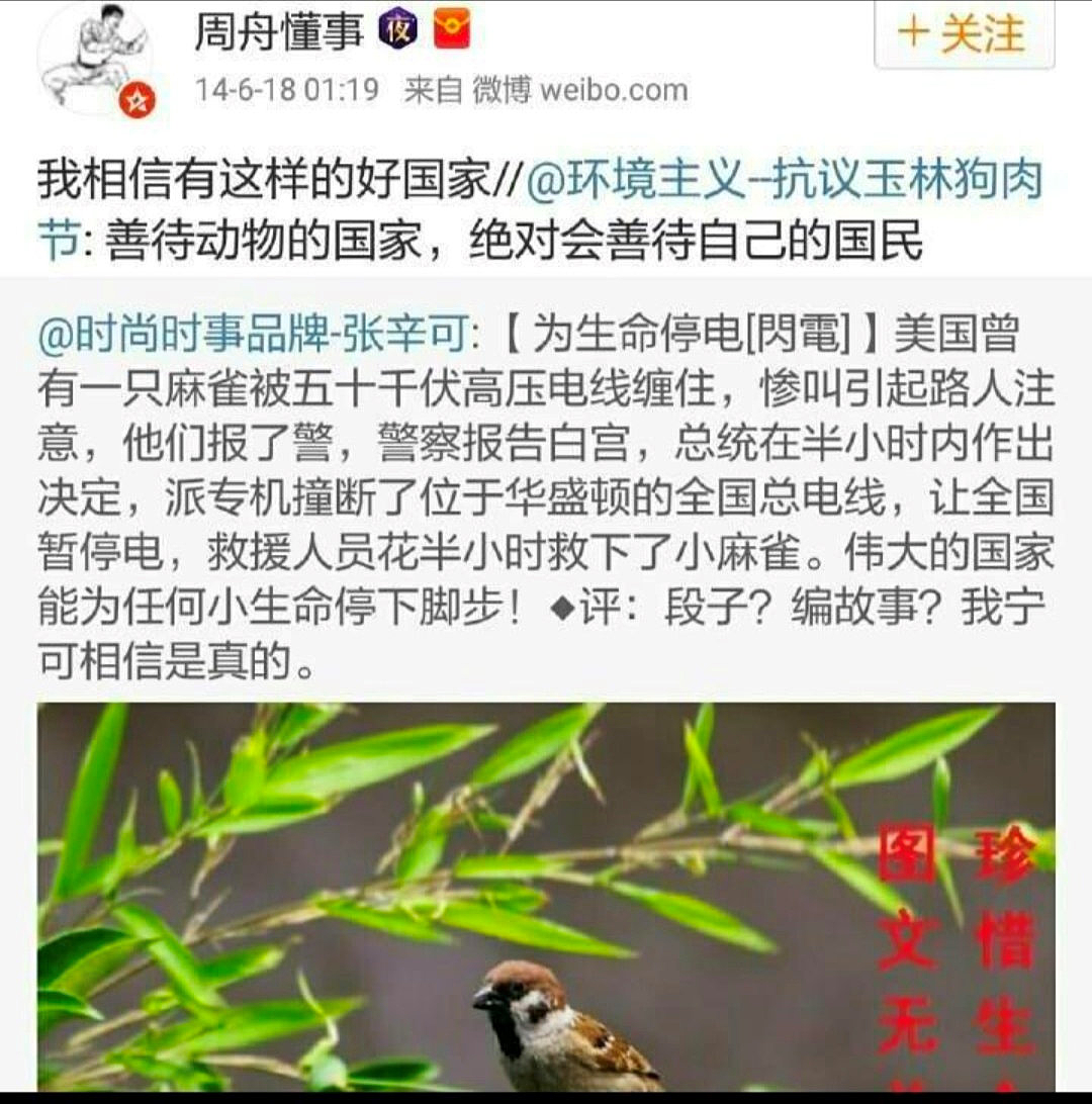 洗脑了一代中国人的意林毒鸡汤，如今快给老外忽悠瘸了（组图） - 6