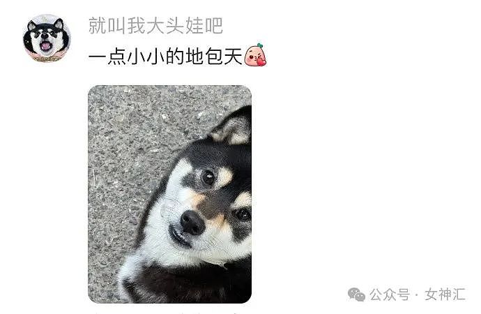 【爆笑】男朋友说他不接受因为出轨而分手？网页辣评：他在尝试带你激活他的后宫模式（组图） - 45