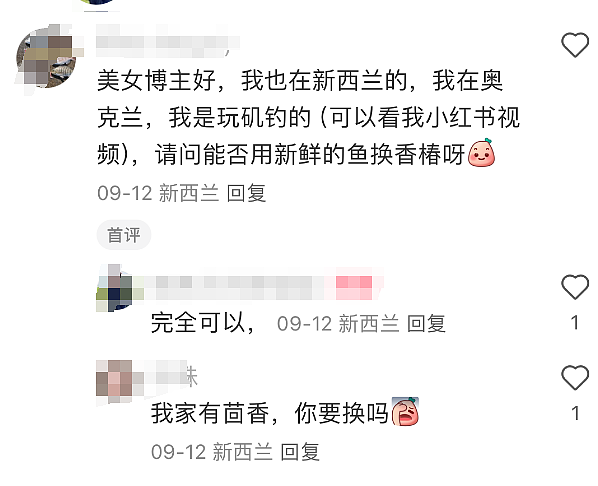 最近，新西兰这种粉色树叶大量出现！华人流口水：可吃，煎蛋很香...（组图） - 16