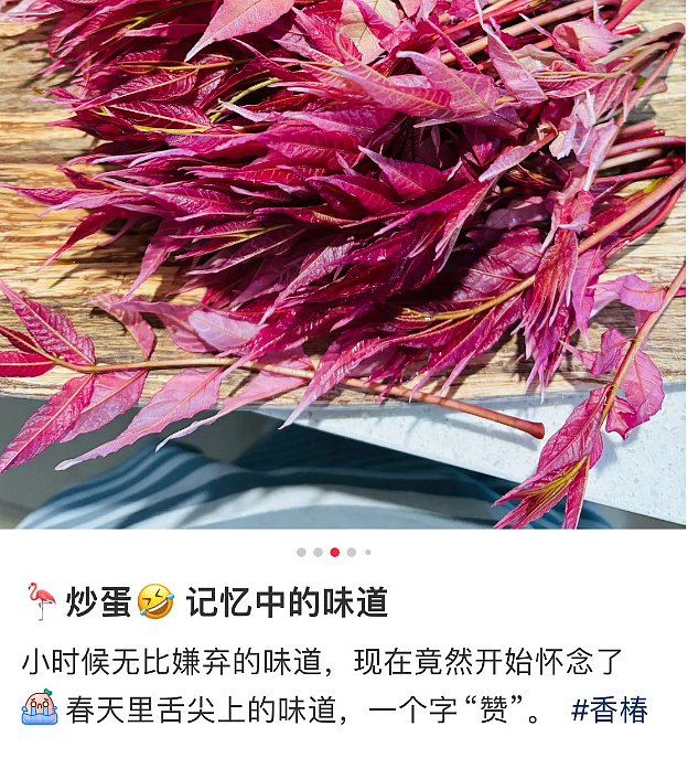 最近，新西兰这种粉色树叶大量出现！华人流口水：可吃，煎蛋很香...（组图） - 8