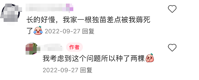 最近，新西兰这种粉色树叶大量出现！华人流口水：可吃，煎蛋很香...（组图） - 10