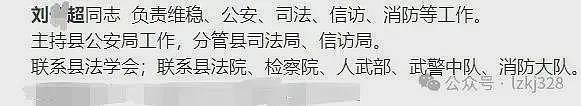 55岁副县长“贪官”隐婚骗炮33岁单身女子，致“老婆”2次堕胎后拉黑对方（组图） - 19