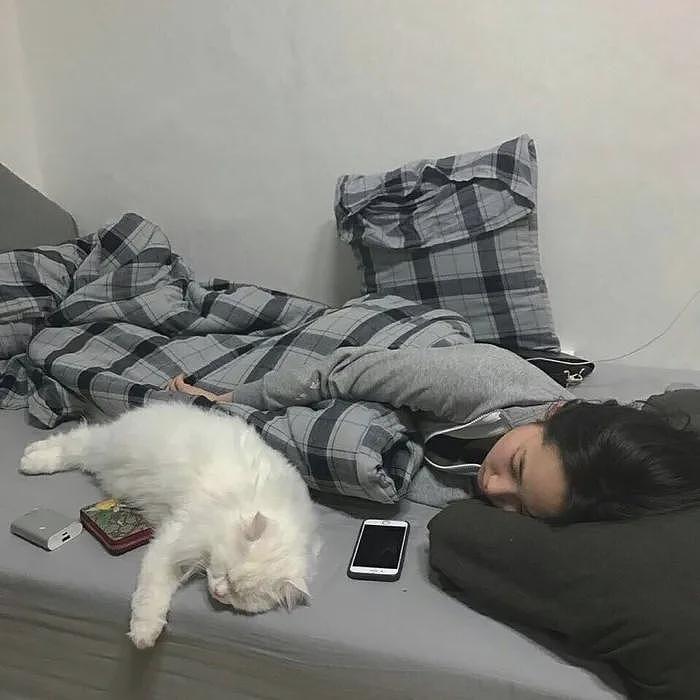 【宠物】女子在猫面前假装打老公，没想到猫马上加入，猫：妈，让我来，我劲儿大（组图） - 16